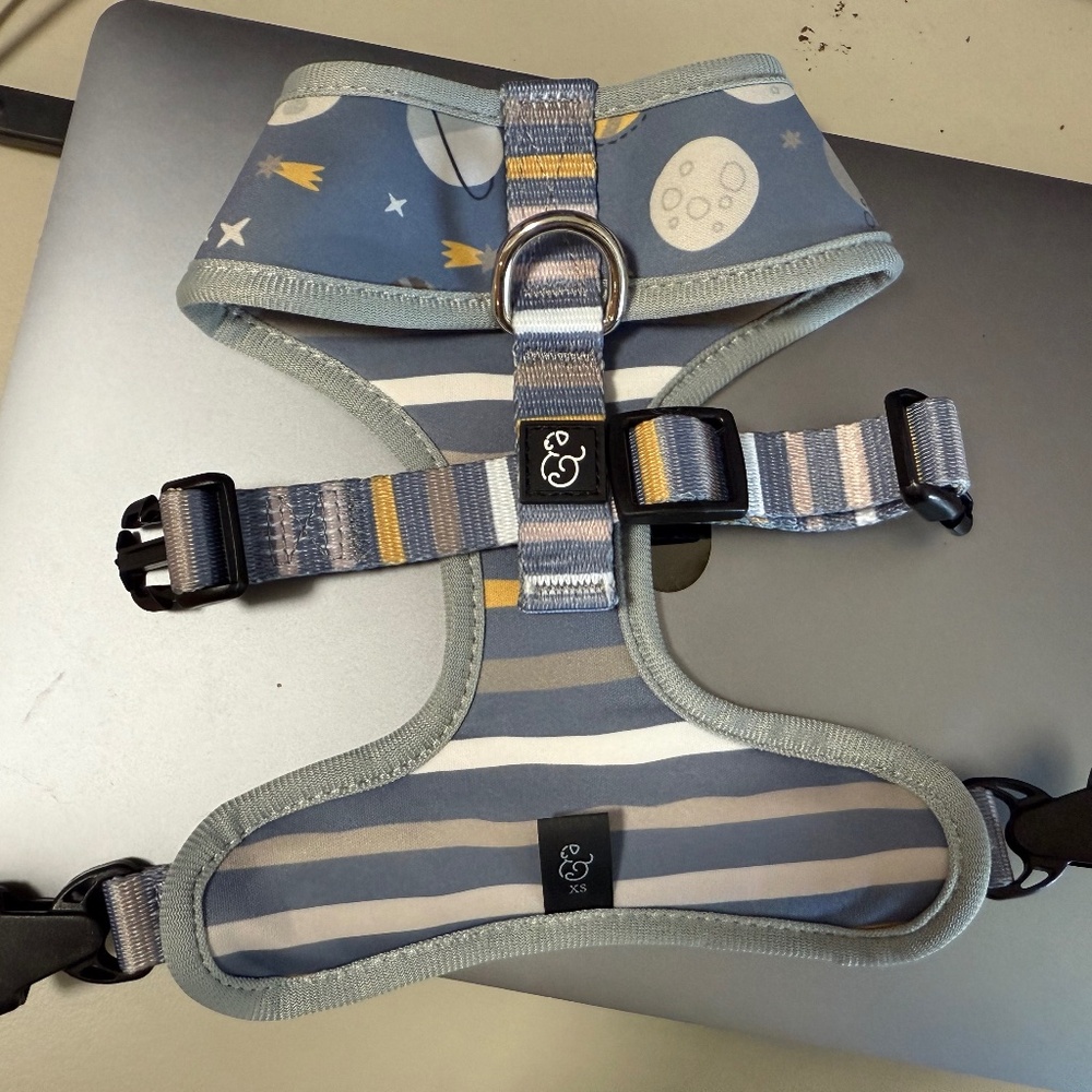Lucy & Co. Lunar Blue/Gray Dog Harness | size XS - Picture 4 of 10